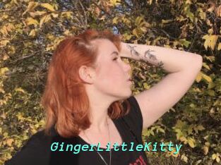 GingerLittleKitty