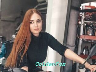GoldenFox