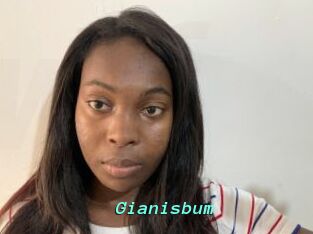 Gianisbum