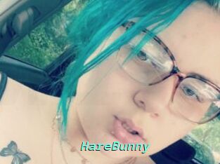 HareBunny