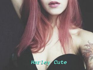 Harley_Cute