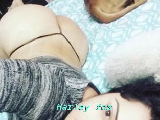 Harley_fox