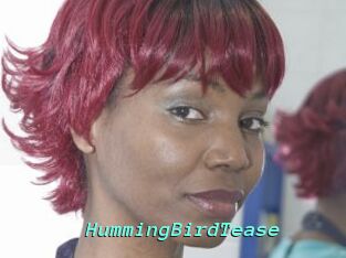 HummingBirdTease