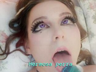 Hermosa_perra