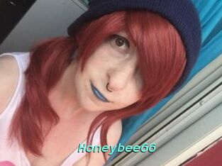 Honeybee66