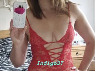 Indigo37