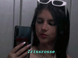 Irissrosse