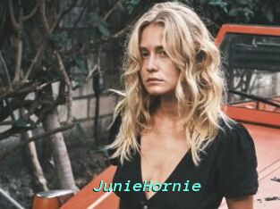 JunieHornie