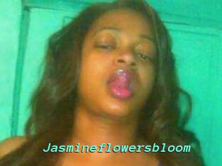 Jasmineflowersbloom
