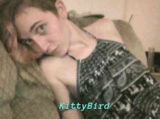 KittyBird