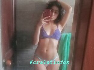 Koralatinfox