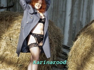 Karinarood