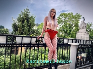 Karinawillsoon