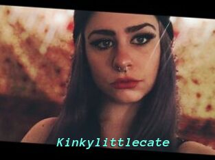 Kinkylittlecate