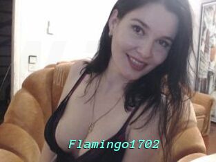 Flamingo1702