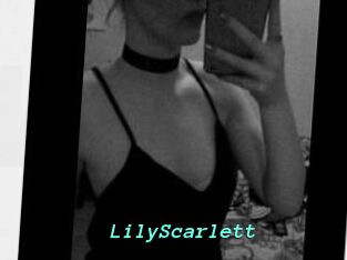 Lily_Scarlett