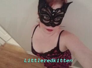 Littleredkitten