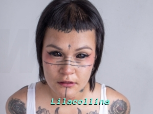 Lilacollina