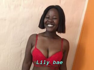 Lily_bae