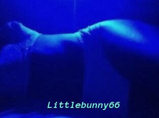 Littlebunny66