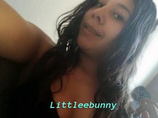 Littleebunny