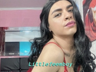 Littlefeemboy