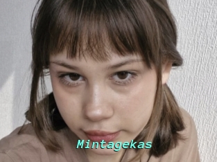 Mintagekas