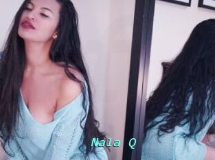 Nala_Q