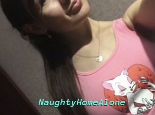 NaughtyHomeAlone