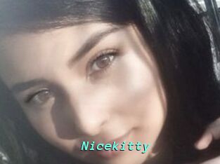 Nicekitty