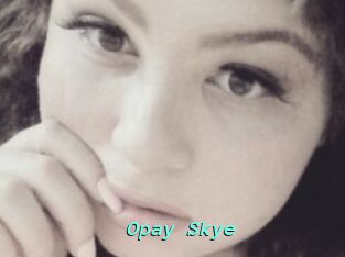 Opay_Skye