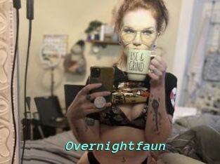 Overnightfaun