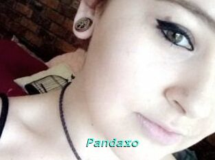 Pandaxo