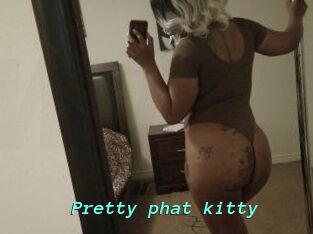 Pretty_phat_kitty