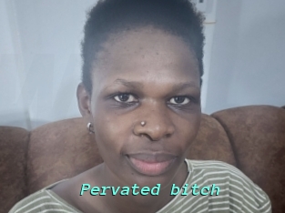 Pervated_bitch
