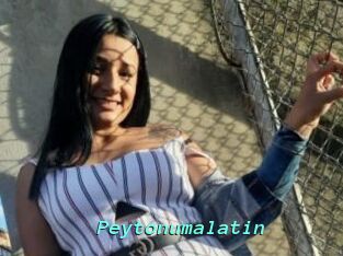 Peytonumalatin