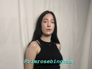 Primrosebingham