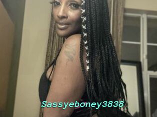 Sassyeboney3838
