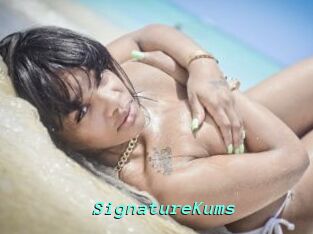 SignatureKums