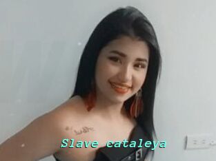 Slave_cataleya