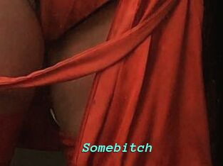 Somebitch