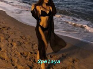 Spelaya