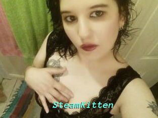 SteamKitten