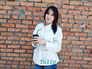 Tulip
