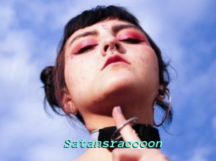 Satansraccoon