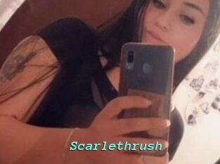 Scarlethrush