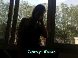Tawny_Rose