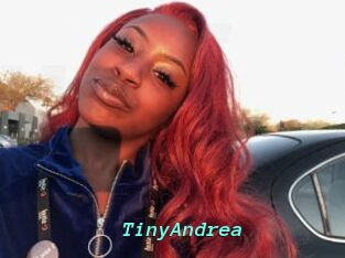 TinyAndrea