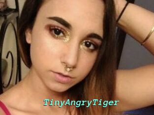 TinyAngryTiger
