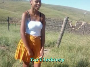 Turtledovey